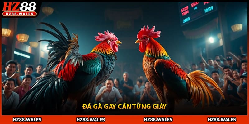 Đá gà gay cấn từng giây