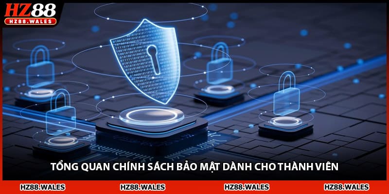 Tổng quan chính sách bảo mật dành cho thành viên